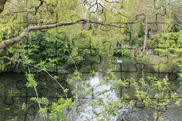 lago jigsaw puzzle