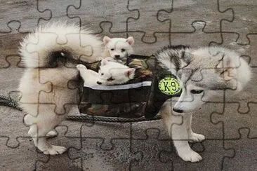 â™¥ jigsaw puzzle