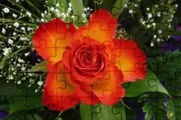 flores jigsaw puzzle