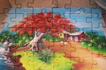 imagenes