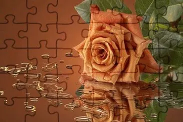 flores jigsaw puzzle