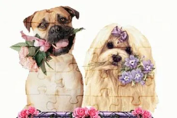 amigos jigsaw puzzle