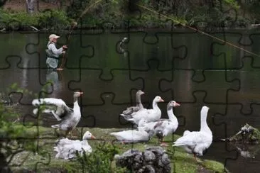 En Villa Pehuenia. NeuquÃ©n. Argentina