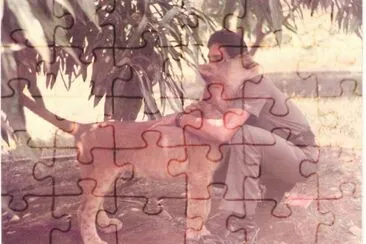 LA LEONA jigsaw puzzle