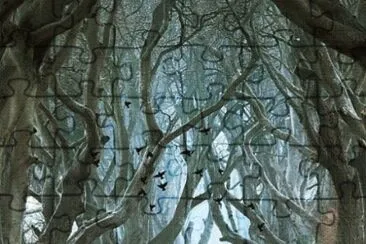 348
