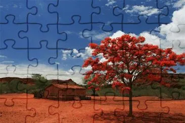 Natureza jigsaw puzzle