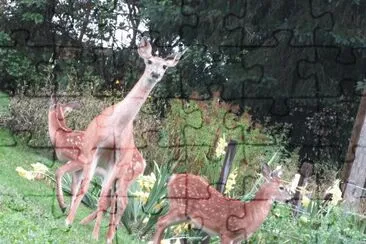 Hey! Whatchyou lookin at? jigsaw puzzle