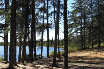 Beautiful little lake near Rogersville NB jigsaw puzzle