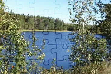 Beauty everywhere! jigsaw puzzle