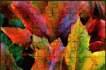 Fall