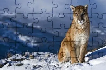 Natureza jigsaw puzzle