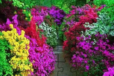 colores jigsaw puzzle