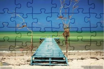 Picture0001 jigsaw puzzle