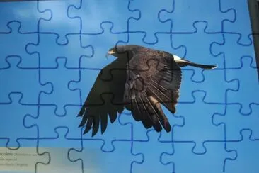ave jigsaw puzzle