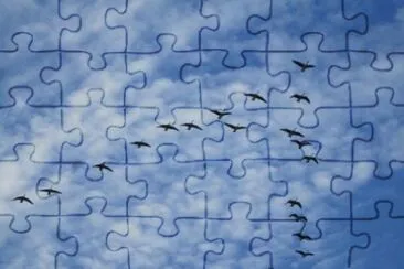 oct4 jigsaw puzzle