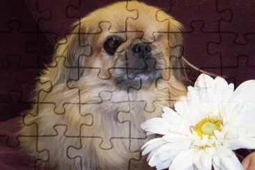 chewkhan jigsaw puzzle