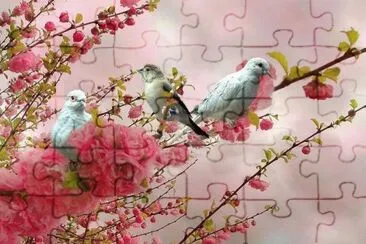 ×¦×™×¤×•×¨×™× jigsaw puzzle