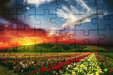 flores jigsaw puzzle