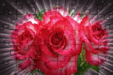 פאזל של florres