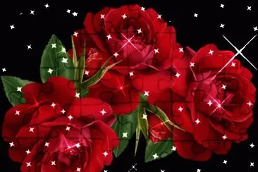 פאזל של flores
