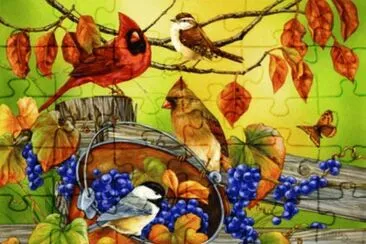 pÃ¡ssaros jigsaw puzzle