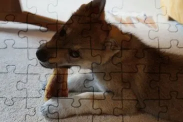 znz8t67s jigsaw puzzle