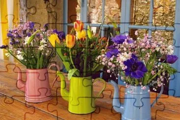flores