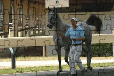 Thoroughbred Ocala Breeders Sale June 2015