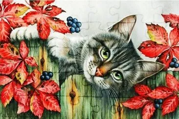 gato jigsaw puzzle