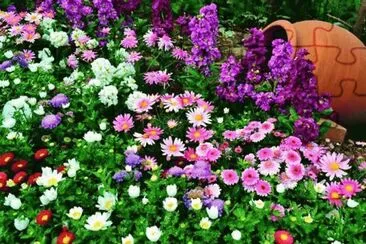 flores jigsaw puzzle
