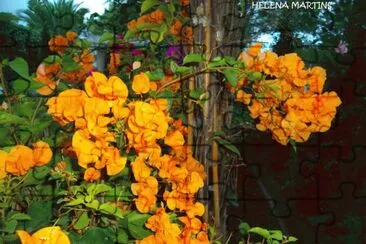 flor