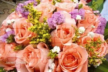 rosas