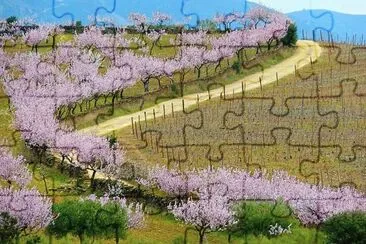 Natureza