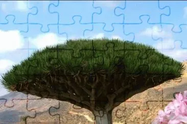 Natureza