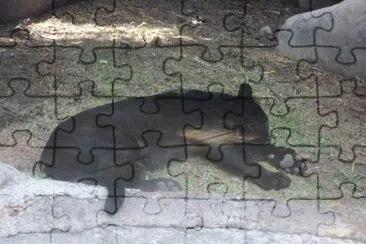 פאזל של animals