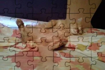 sueÃ±o jigsaw puzzle
