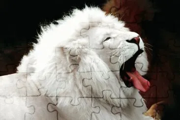 leon albino jigsaw puzzle