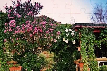 608 jigsaw puzzle