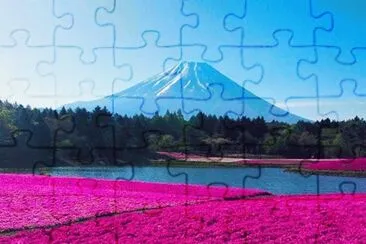 612 jigsaw puzzle