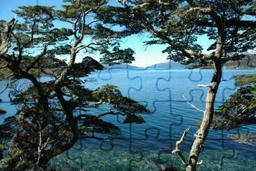 BahÃ­a Ensenada. Tierra del Fuego. Argentina jigsaw puzzle