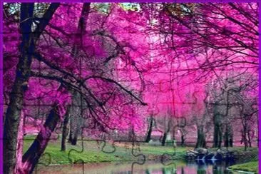 imagenes
