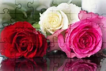 8i7f5frect54c jigsaw puzzle