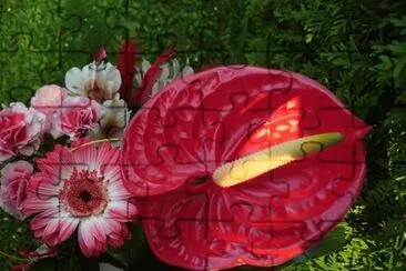 Blumen 2 jigsaw puzzle