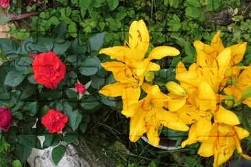 Blumen3 jigsaw puzzle