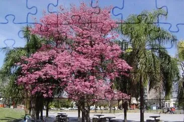 En Rosario. Santa Fe. Argentina