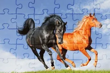 657b65435cb67 jigsaw puzzle
