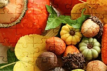 Fall display