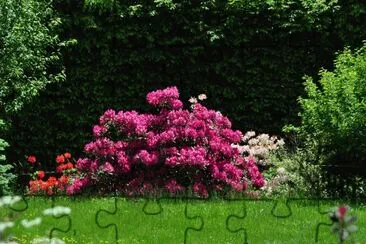 Blumen 13 jigsaw puzzle