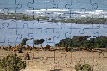 En la PenÃ­nsula de ValdÃ©s. Chubut. Argentina jigsaw puzzle