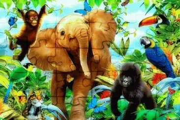 b76c5e46btz jigsaw puzzle